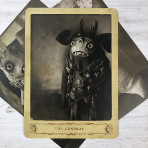 A vintage-style collectible Dust Bunnies Cabinet Card Set photograph depicting a whimsical character named "the general," who appears to be an anthropomorphic figure with bovine traits, dressed in a military uniform adorned with medals from Bindlewood Shop.
